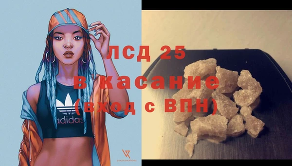 трава Арсеньев