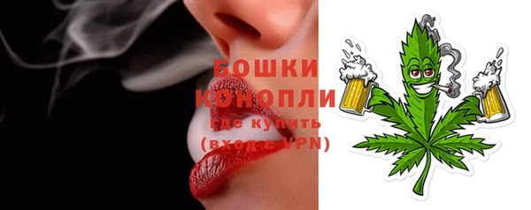 трава Арсеньев