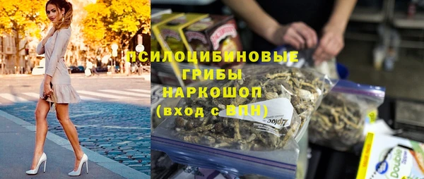 дмт Аркадак