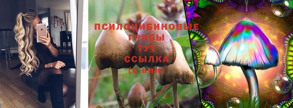 кокс Армянск