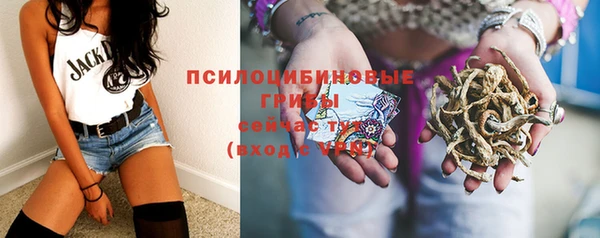трава Арсеньев