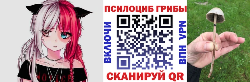 Галлюциногенные грибы мухоморы Оха